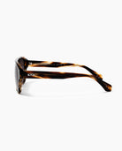 Brown Casino Sunglasses - 8JS